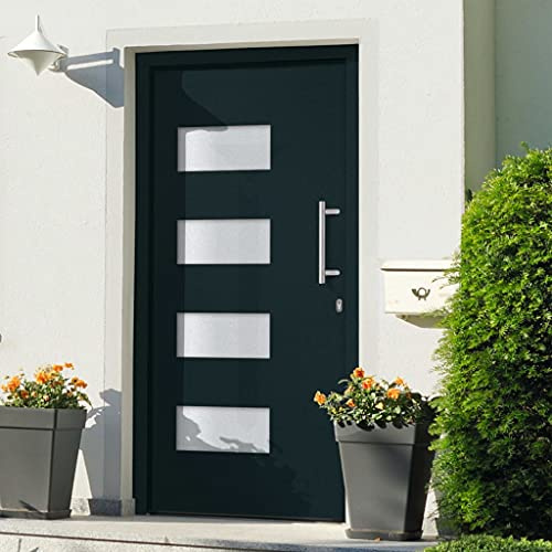 Generico Porta d'Ingresso in Alluminio e PVC Antracite 110x210 cm,Antracite,74.13kg,3056826