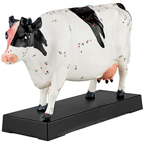 Akupunktur Anatomie TCM Rind Körper Modell Figur Kuh Akupunkturmodell Tier Muskelmodell Lehrmittel Naturheilkunde 69 Akupunkturpunkte Lehrmodell MedMod