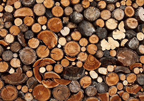 wandmotiv24 Fototapete Holz Holzoptik Holzstapel, M 250 x 175 cm - 5 Teile, Wanddeko, Wandbild, Wandtapete, Brennholz, Kamin, Ofen M0706
