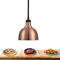 Lampe Chauffante 250W, Télescopique Lampe Infrarouge Lampe Cuisine Lustre pour Buffet Chauffant, Commercial Lampe de Chauffante des Aliments, 250mm, Acier Inoxydable