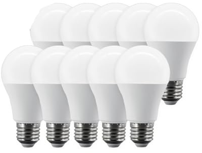 Neurovolt 10PCS Lampara LED-Birne Lampen 8W-24W E27 Glühbirnen AC 220-240V 110V 120V Tageslicht Beleuchtung A60 A80 for Home Foyer Schlafzimmer Dekor(Cold 6000K,24W_AC220_10PCS)