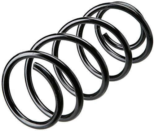 lesjofers 4055453 Coil Spring Front