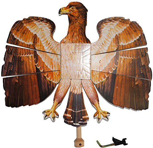 alles-meine.de GmbH Vogelschießen - Bogenschießen - Vogel Adler/braun 49 cm * 46 cm - KinderVogelschießen - Bogenschießen