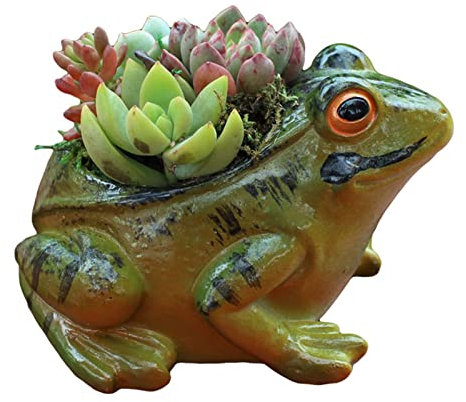 Valink Niedlicher Sukkulenten-Pflanzgefäß, multifunktionaler Zement-Frosch, Pflanztopf mit Drainage, Mini-Tier-Blumentopf, Kaktus-Behälter für Zuhause, Garten, kreative Frosch-Ornamente