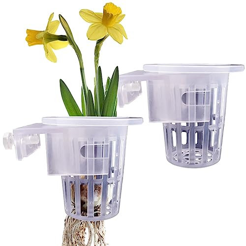 Rianpesn Porta piante per acquario,Supporto Pothos per acquario da 2 pezzi - Vaso per piante acquario con fori, supporto Pothos per acquario trasparente per la coltivazione di piante acquatiche