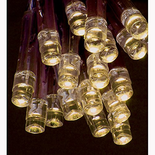 Premier 20 Warm White Battery Op LED Lights Christmas Lights LV071941WW