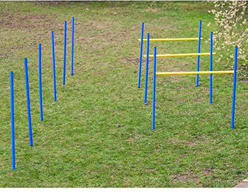 Procyon Dog Agility Trainings-Set 2 für Anfänger