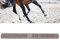 Escofina para pezuña ， Archivo de Corte de pezuña de Acero al Carbono de Cabeza Redonda Herramienta de Cuchilla de Corte de pezuña de Doble Cara para Potros, Potros y Caballos.