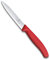 Victorinox 6.7701 Couteau d’office lame pointue rouge, Acier Inoxydable, 30 x 5 x 5 cm