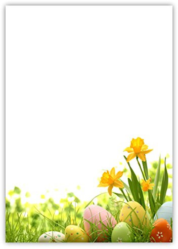 Motiv Briefpapier (Ostern-5023, DIN A4, 25 Blatt). Einseitig bedrucktes Briefpapier, sehr gut beschreibbar, Motivpapier für alle Drucker/Kopierer geeignet Motiv Ostern gelbe Narzissen Ostereier