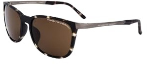 Porsche Design Men's P8673 Sunglasses