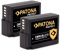 PATONA 2X Protect DMW-BLC12 DMW-BLC12E Akku 1100mAh Ersatzakku kompatibel mit Panasonic Lumix DMC FZ200 FZ300 FZ330 FZ1000 FZ2000 G5 G6 G7 G70 G81 G85 G91 GH2 GX8 GX8A GX8H GX8K DMWBLC12 DMW BLC 12 E