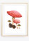 Din A4 Kunstdruck ohne Rahmen - Fliegenpilz - Herbst - Tannenzapfen - Pilze Pilz Natur Aquarell Bild Druck Poster Bild