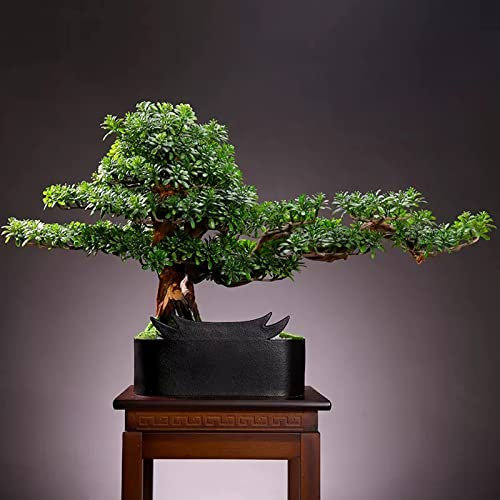 Artificial Bonsai Tree in Black Pot - Faux Japanese Pine Bonsai for Home Decor, Office, Zen Garden - Indoor Desktop Display fake plants
