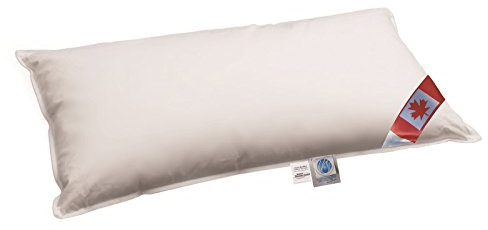 Schäfer Canada Dreams Exklusive canadische 90% Daune 10% Federchen Klasse 1 40x80 cm, Flachkissen