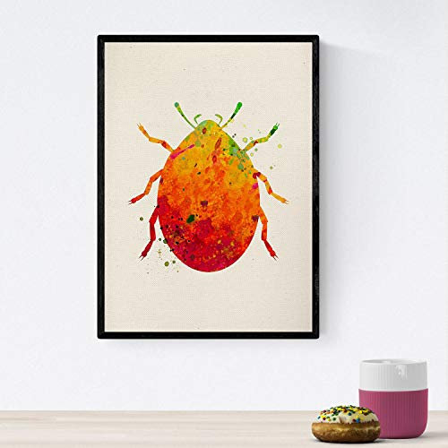 Nacnic Poster Käfer mit Aquarellentwurf. Mischen Sie mit Aquarell-Stylesheets für die Innendekoration. A4-Format
