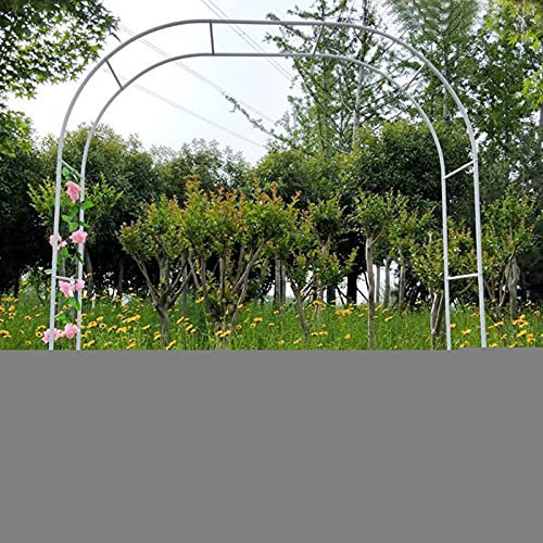 Gartenbogen, Rosenbogen mit anmutiger Kurve für Kletterpflanzen, Clematis, Rosenbogen aus Metall, Pergola-Spalier, Gartenlaube, Rankgitter, wetterfest und freistehend, für Gartenrasen im F