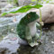 Uziqueif Deko Frosch Gartenstatuen, Harz Frösche Dekofiguren Garten, Ornament Für Bauernhof Balkon Teich Office Deko Statue, Terassendeko, Wetterfest,L