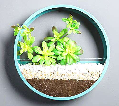 Murale Planteur,DéCoration Mur Pots à Suspendre MéTal Ronde Pots De Fleurs à Suspendu Verre Mural JardinièRe Clair Vase pour Artificielles Fleur,Cactus,Succulentes,DéCor pour Salon Salle à Manger