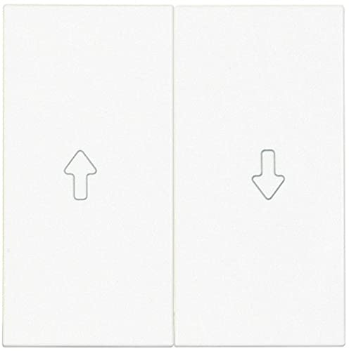 OPUS® 55 Doppelwippe für Wippen-Jalousie-Schalter und -Taster Farbe polarweiß - seidenmatt