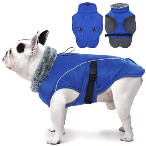 DENTRUN Hundemantel Fleece, Hund Wintermantel, Hundemantel Wasserdicht mit Fleece Gefütterte, Pullover für Hunde, Wintermantel Hund Mittelgroß, Winter Wasserdicht Hundejacke (Blau,M)