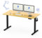 FLEXISPOT höhenverstellbarer Schreibtisch elektrisch 160x80cm, Schreibtisch höhenverstellbar 2-stufige mit Haken und Sitz-Steh-Erinnerungs - QN1 Basic(ahorn, schwarz Gestell)