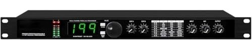 KJoBDwz Equalizzatore Stereo Processore Audio Professionale con Riverbero Digitale e multieffetto DSP, Equalizzatore, Microfono vocale for Studio di Registrazione