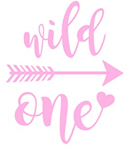Bügelbild Aufbügler Geburtstag Wild and One