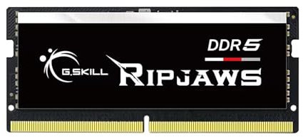 G.Skill Ripjaws F5-4800S4039A16GX1-RS module de mémoire 16 Go 1 x 16 Go DDR5 4800 MHz