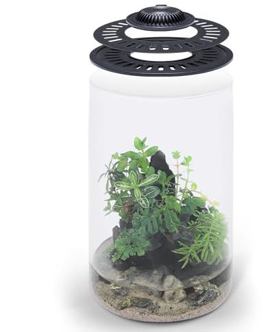 SubstrateSource Bio Cylinder Glaspflanzen-Terrarium-Set, Glas-Terrarium mit LED-Wachstumslicht, verstellbarer Belüftungsdeckel, Substrat, Moos und Akzentsteine, Bio-Zylinder 150
