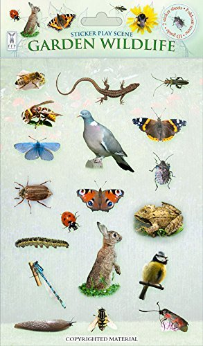 Sticker Play Scenes: Garden Wildlife by Andrea Pinnington (2014-04-25)