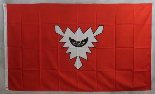 Buddel-Bini Flagge Fahne ca. 90x150 cm : Kiel Stadtflagge Kielflagge Kieler