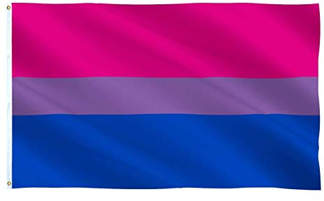 JZK Bandera de 90 cm * 150 cm BI Bandera grande bisexual para pared, regalo bisexual, bandera de orgullo bisexual para desfile de carnaval exterior, bandera LGBTQ grande LGBT