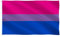 JZK Bandera de 90 cm * 150 cm BI Bandera grande bisexual para pared, regalo bisexual, bandera de orgullo bisexual para desfile de carnaval exterior, bandera LGBTQ grande LGBT