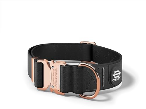 Bullyion ® Original Equipment Elite+ All Action Collar Waterproof Marine Grade Leatherette Collar - Lockforce Metal Buckle, For Small To Large Dogs - Black with Quartz Rose Gold Buckle (4CM) Medium