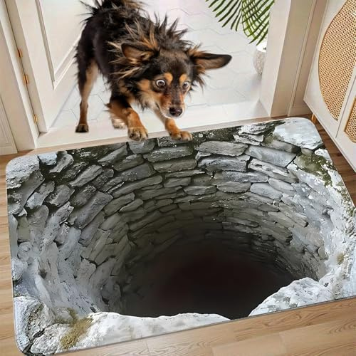 llikknve Optical Illusion Rug, 3D Rugs Illusion, 3D Rug for Door Entrance, Bathroom, Playroom, Living Room, Area Decoration (40 * 60 cm)