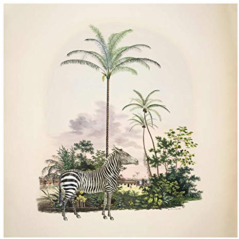 Bilderwelten Glasbild - Zebra vor Palmen Illustration 30 x 30cm
