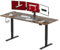 SANODESK Höhenverstellbarer Schreibtisch 200 x 80 cm Schreibtisch Höhenverstellbar Elektrisch Ergonomischer Steh-Sitz Tisch Computertisch für Heimbüro Homeoffice(braun)