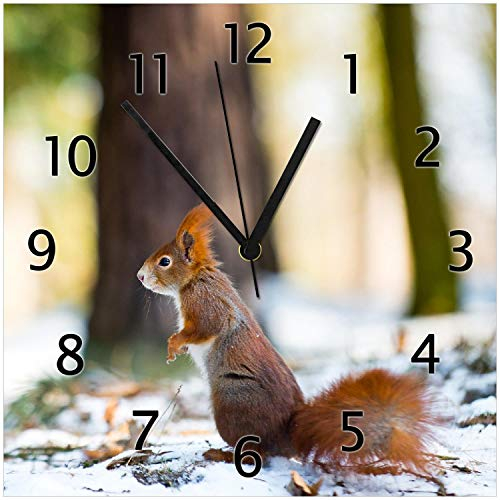 Wallario Design-Wanduhr Neugieriges Eichhörnchen im verschneiten Wald aus Glas, Motiv-Uhr Größe 30 x 30 cm, Schwarze Zeiger