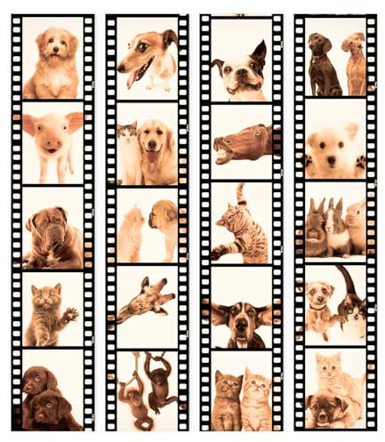 murando Carta da parati PURO 10 m senza ripetere il motivo Fotomurali in TNT Murale Decorazione da Muro XXL Poster Gigante Design Carta per pareti Animale Gatto Cane Cavallo g-C-0026-j-c