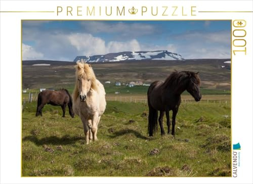 CALVENDO Puzzle Schwarz und Weiß | 1000 Teile Lege-Größe 64 x 48 cm Foto-Puzzle für glückliche Stunden
