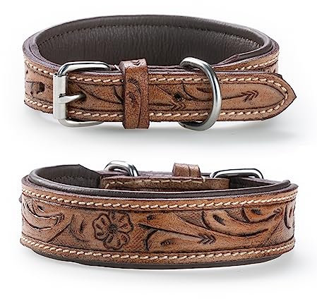 Exklusives Hundehalsband aus Leder mit geschnitzten Blumenmustern/Ornamenten – Halsband aus Büffelleder – gepolstertes Hunde Lederhalsband Abey (M (33,5-41cm))