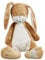 Grote haas knuffel 30cm