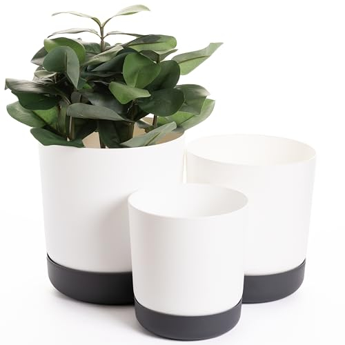 Home Garden Ornaments Plant Pots Indoor – Classy Indoor Plant Pot Set of 3 13cm, 15 cm, 17cm with Drainage Holes, Saucer and Reservoir, Self Watering Flower Pots (Colour: White and Anthracite)