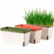 CNANRNANC 3 macetas rectangulares de riego automático, caja de sistema de hidratación automática para hierbas y plantas de jardín con depósito de agua