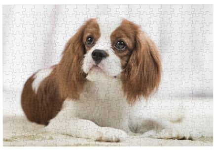 300-teiliges Cavalier King Charles Spaniel-Puzzle (braun) mit Verpackungsbox für Erwachsene – Holzpuzzle