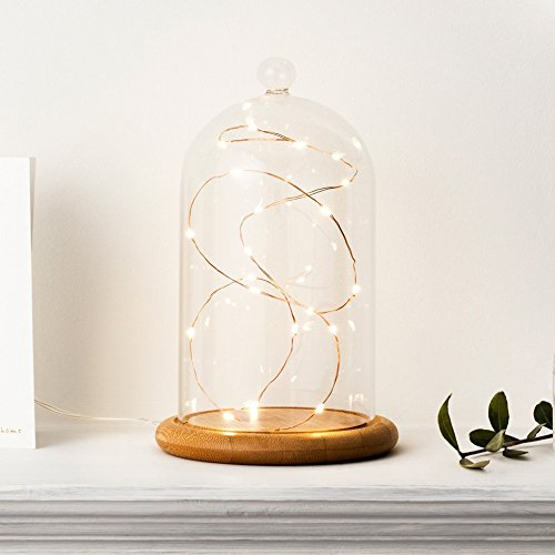 Lights4fun Deko Glasglocke mit 20er Micro Kupferdraht Lichterkette warmweiß Muttertagsgeschenk Geschenke zum Muttertag