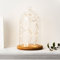 Lights4fun Cloche en Verre Décorative avec 20 Micro LED Blanc Chaud sur Câble en Cuivre