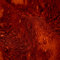 Pigment Naturel Ocre Rouge 25 Kg- Pour Peinture, Enduit, Béton, Mortier - Terre colorante en poudre - Origine Europe