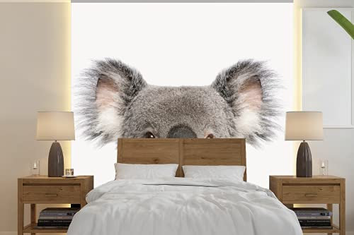 MuchoWow Papier peint Koala - Ours Koala - Filles - Garçons - Animaux Papier peint photo 260x260 cm Papier peint imprimé